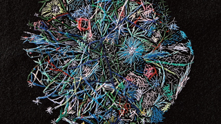 Someone Embroidered a Map of ARPANET, the Infant Internet